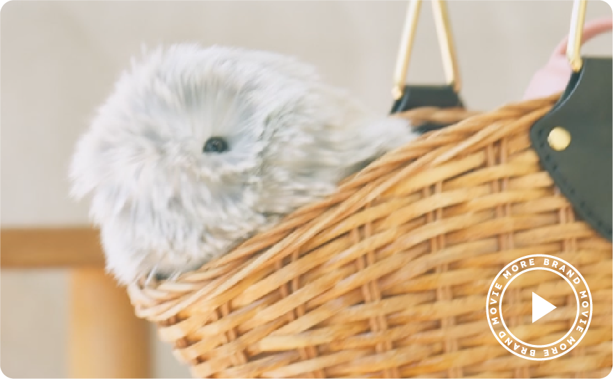 Moflin (モフリン) - 公式ストア | CASIO